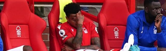 开云娱乐-引援17人，被热刺教做人，诺丁汉森林就等世界杯了